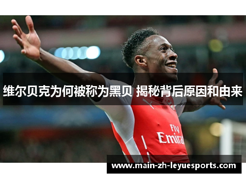 维尔贝克为何被称为黑贝 揭秘背后原因和由来