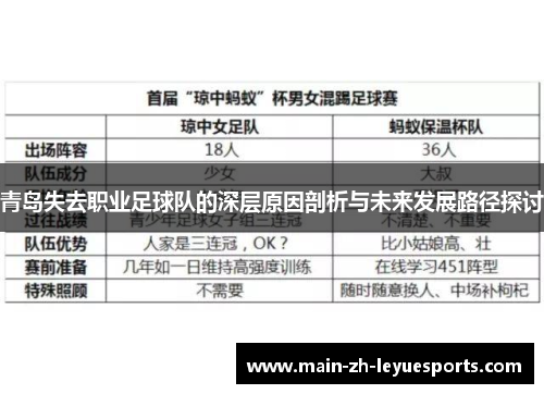 青岛失去职业足球队的深层原因剖析与未来发展路径探讨